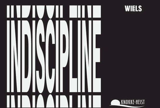 INDISCIPLINE