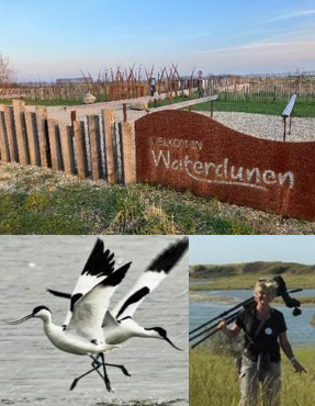BALADE GUID&Eacute;E DANS LA BELLE R&Eacute;SERVE DE WATERDUNEN