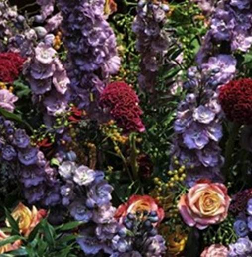 Visite des paradisiaques floralies gantoises