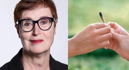 LES JEUNES ET LE CANNABIS PAR LE DR. INEZ VANDENBUSSCHE