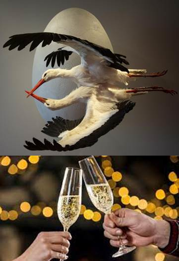 COCKTAIL DE NOUVEL AN AUTOUR DE KOEN VANMECHELEN