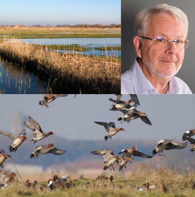 Balade guid&eacute;e dans l&rsquo;Uitkerkse POLDER